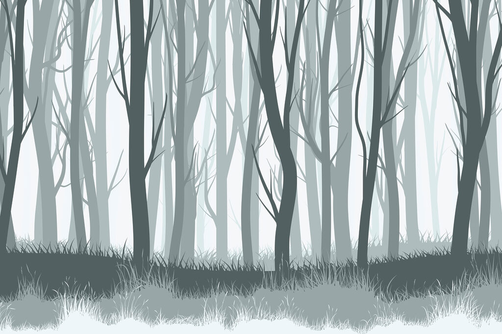 Group of trees in a forest Group of trees in a forest