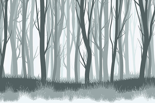 Group of trees in a forest Group of trees in a forest
