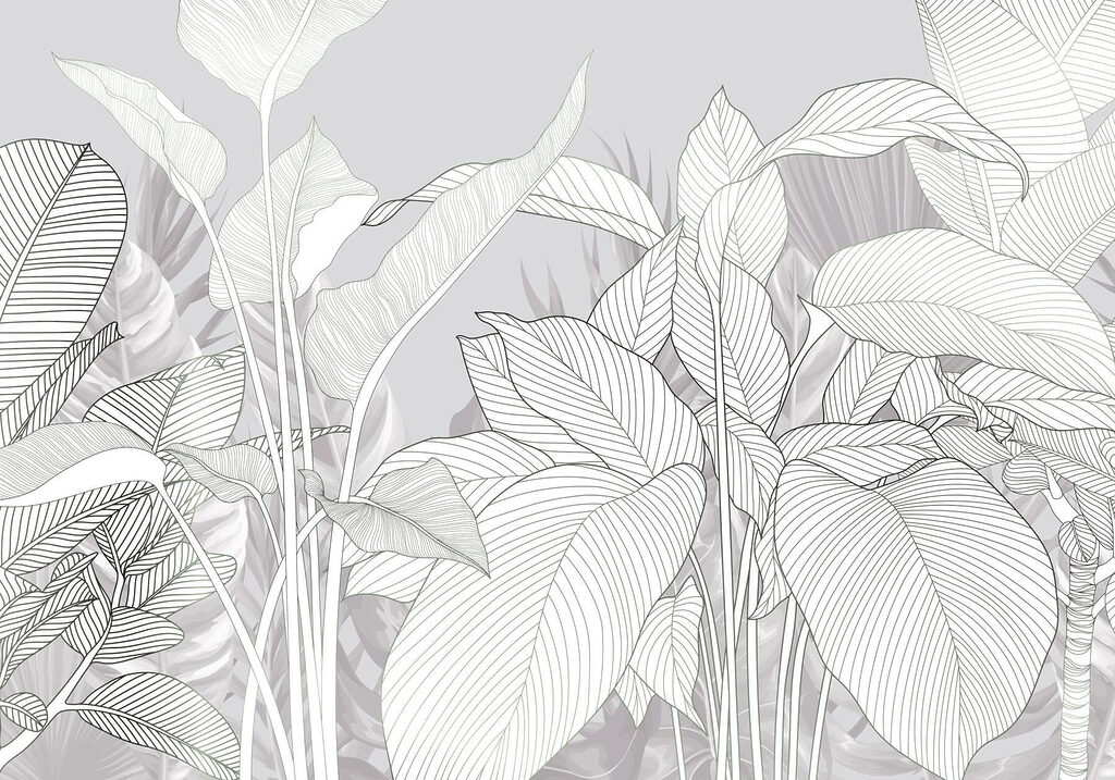 Elegant lines of nature's beauty
