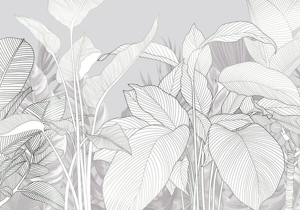 Elegant lines of nature's beauty