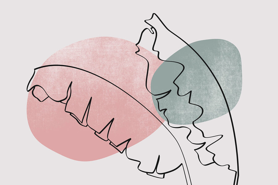 Drawing of a leaf