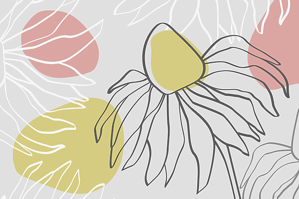 Drawing of a flower Drawing of a flower