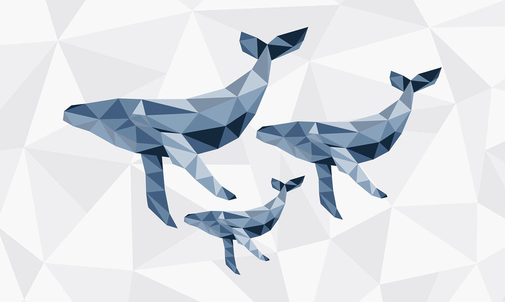 Group of whales in low poly style Group of whales in low poly style