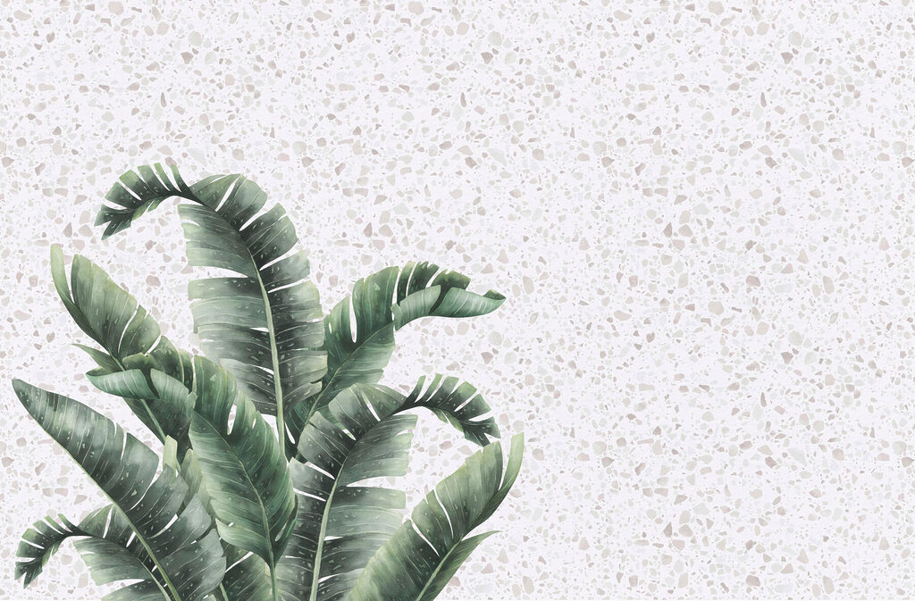 Plant with leaves on a white surface Plant with leaves on a white surface
