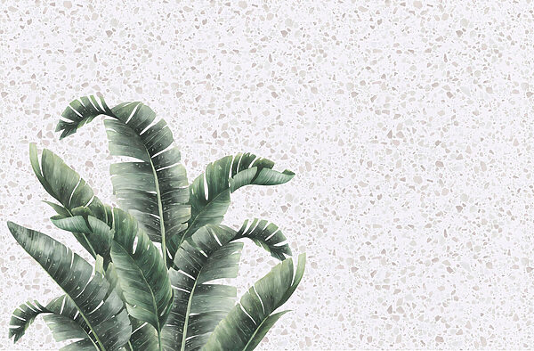 Plant with leaves on a white surface Plant with leaves on a white surface