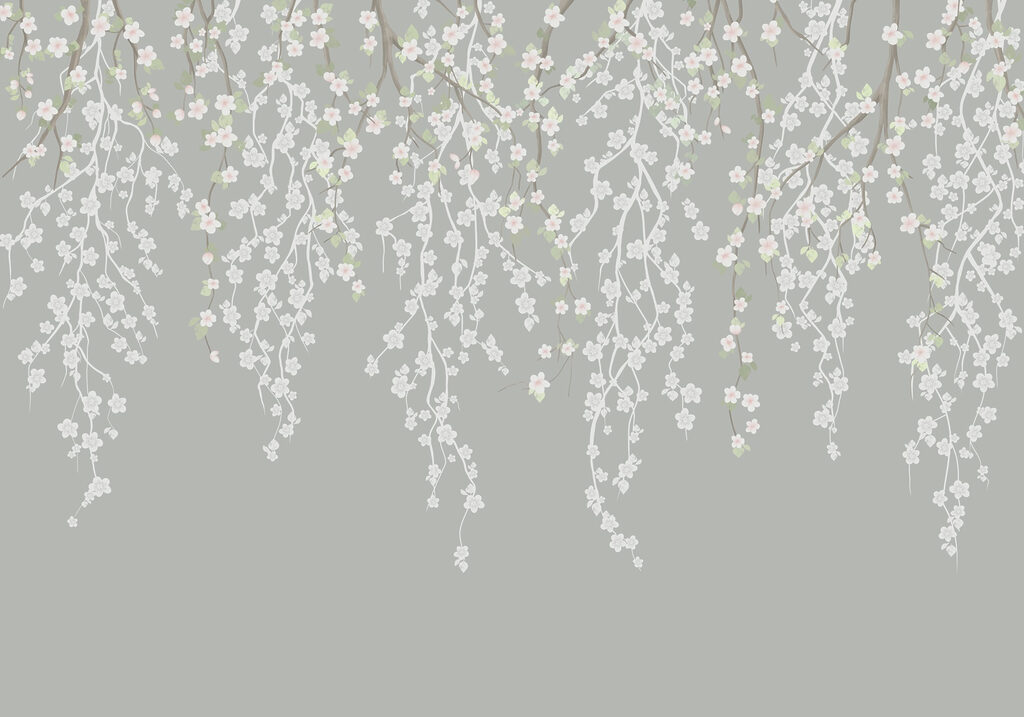 White flowers on a tree branch White flowers on a tree branch