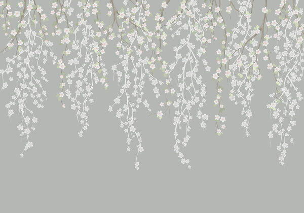 White flowers on a tree branch White flowers on a tree branch