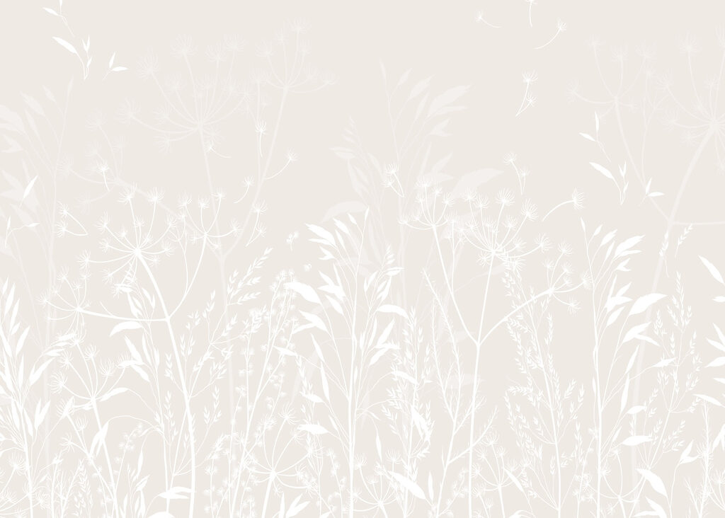 White floral pattern on a white background White floral pattern on a white background