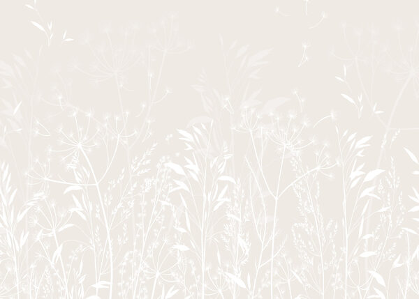 White floral pattern on a white background White floral pattern on a white background