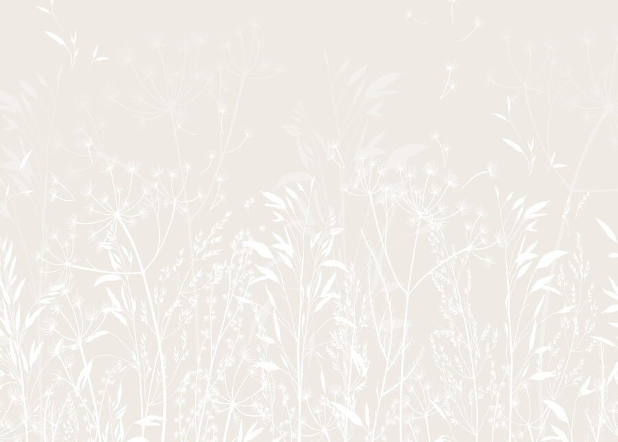 White floral pattern on a white background White floral pattern on a white background