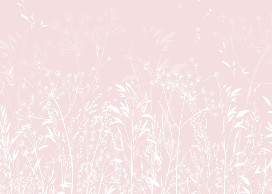 Delicate flora on soft background