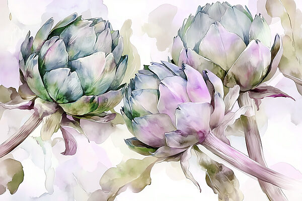 Art artichokes on a white background