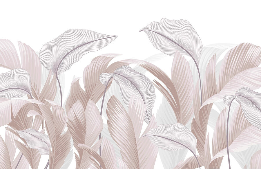 Delicate lines of nature's beauty Delicate lines of nature's beauty