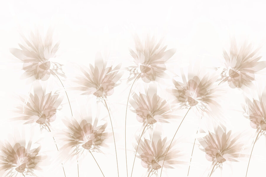 Group of flowers on a white background Group of flowers on a white background