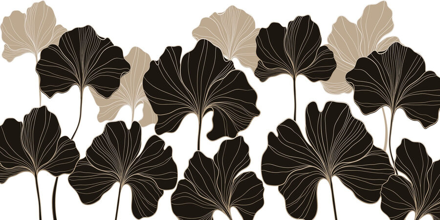 Nature's elegance in monochrome hues Nature's elegance in monochrome hues