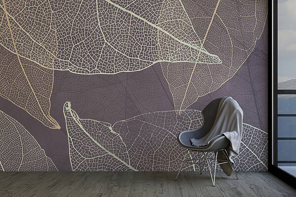 Nature’s delicate leaf patterns revealed Nature’s delicate leaf patterns revealed