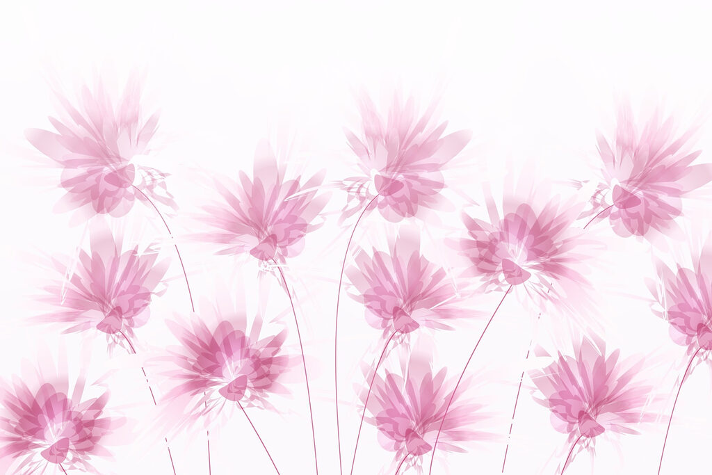 Group of pink flowers Group of pink flowers