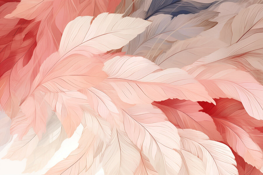 Group of pink and white feathers