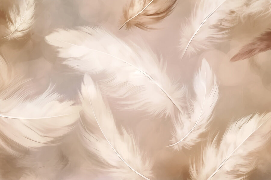 Wall murals Group of white feathers - Image 3