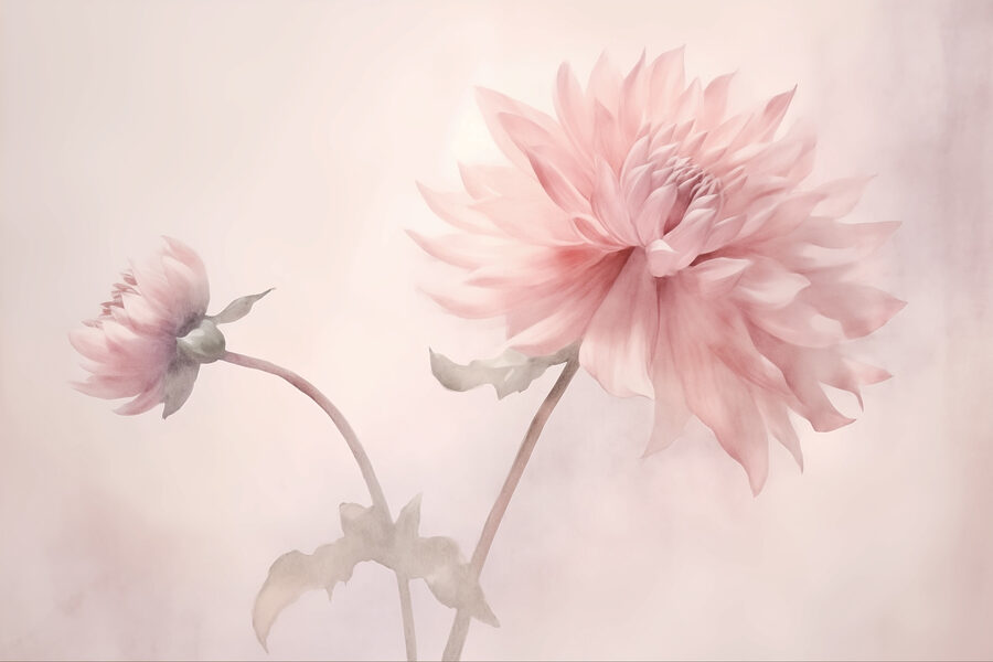 Soft petals in gentle hues