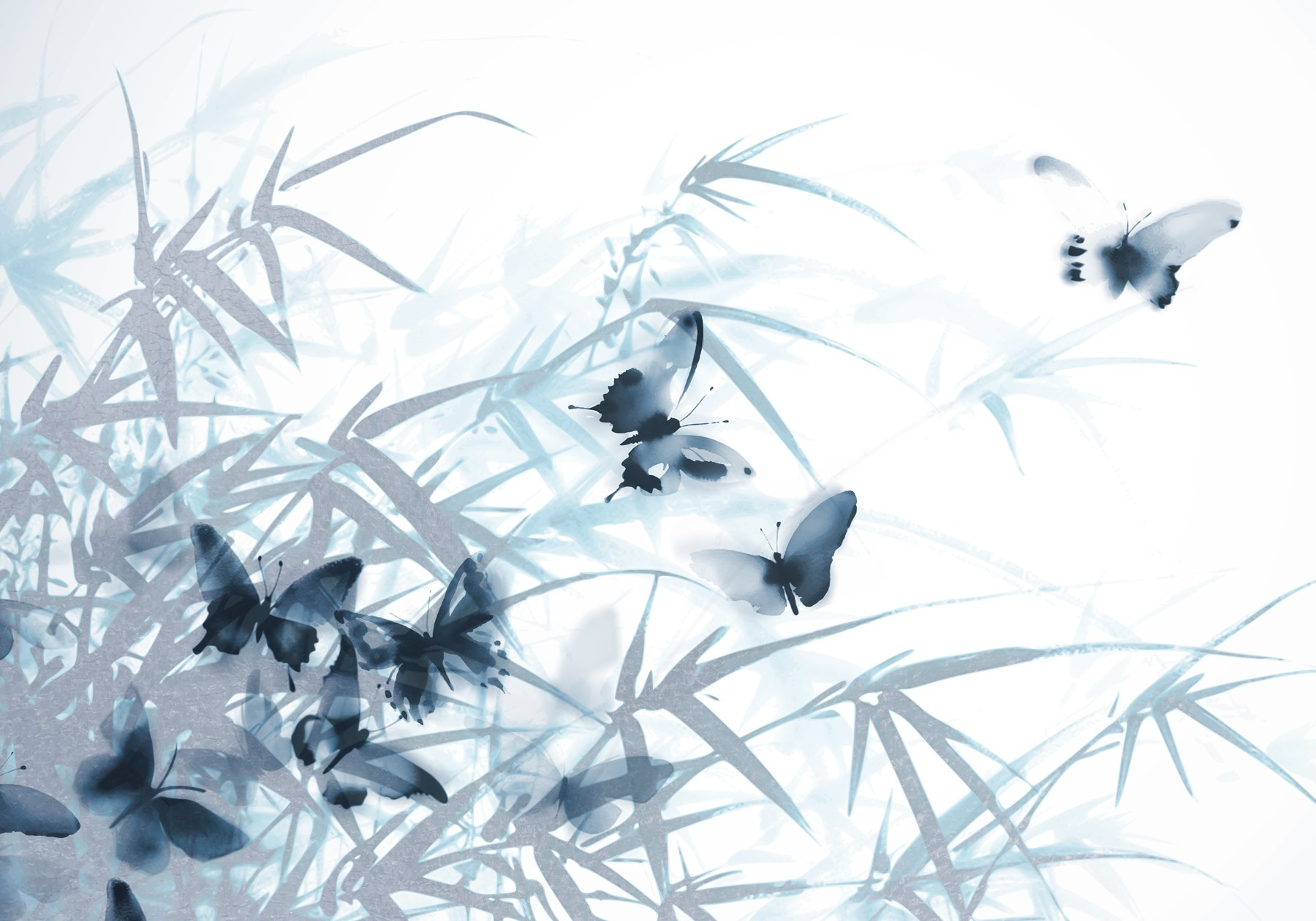 Butterflies on a white background