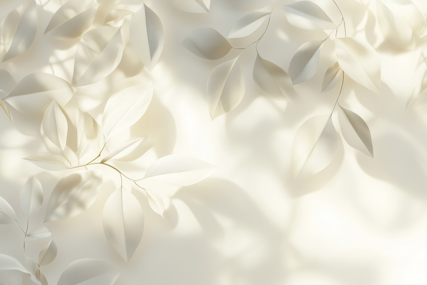 White leaves on a white surface