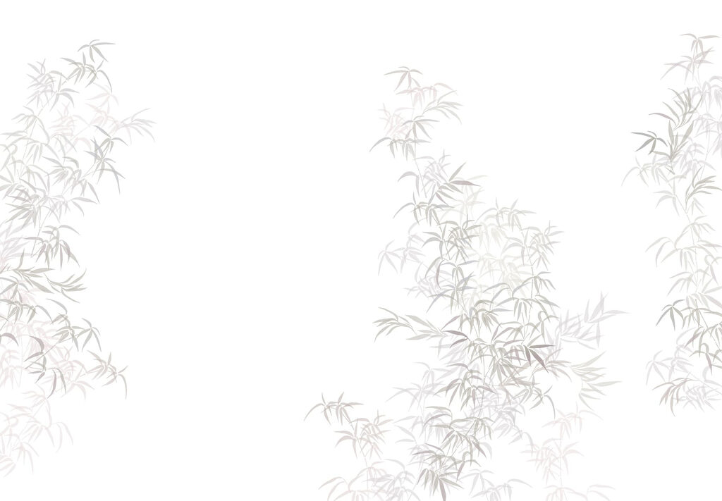 Plant with leaves on it Plant with leaves on it