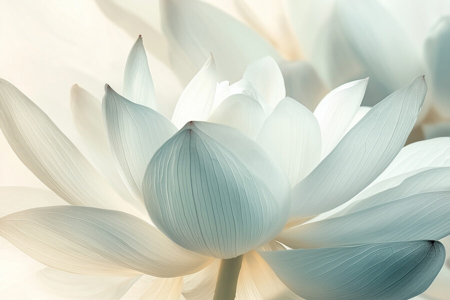 Delicate petals in soft pastel hues Delicate petals in soft pastel hues