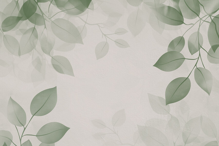 Green leaves on a white background Green leaves on a white background