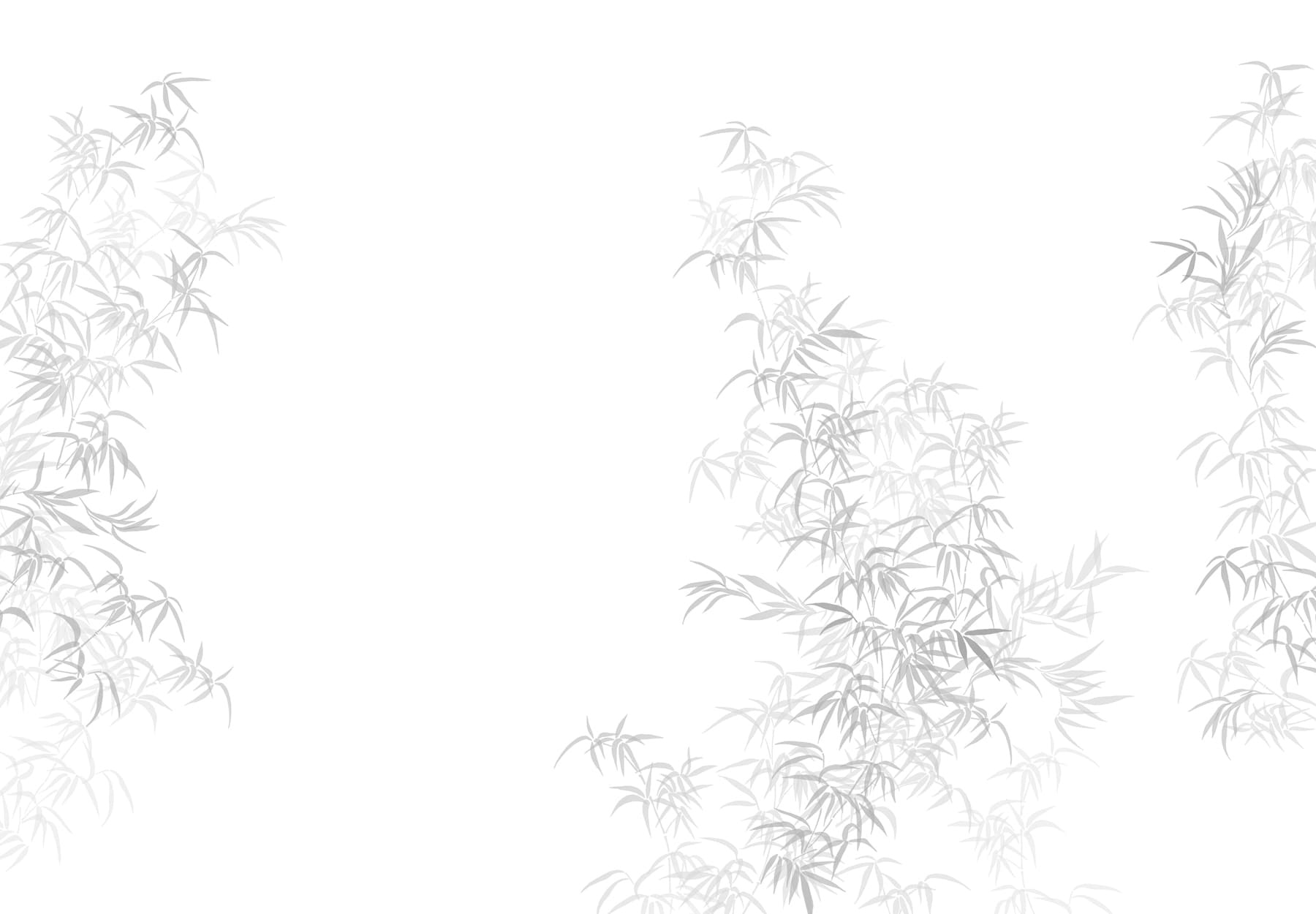 White background with leaves
