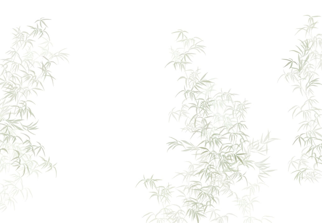 Plant with leaves on it Plant with leaves on it