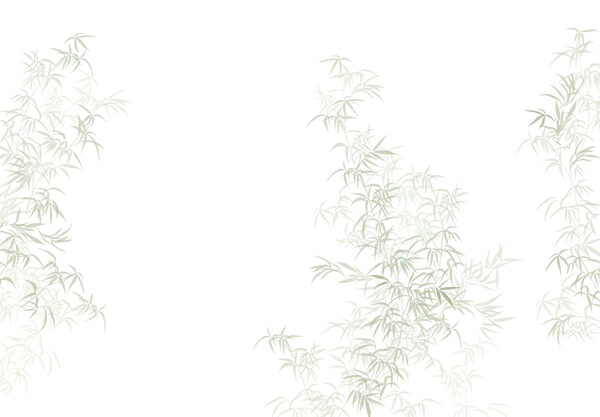 Plant with leaves on it Plant with leaves on it