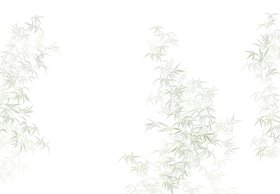 Plant with leaves on it Plant with leaves on it
