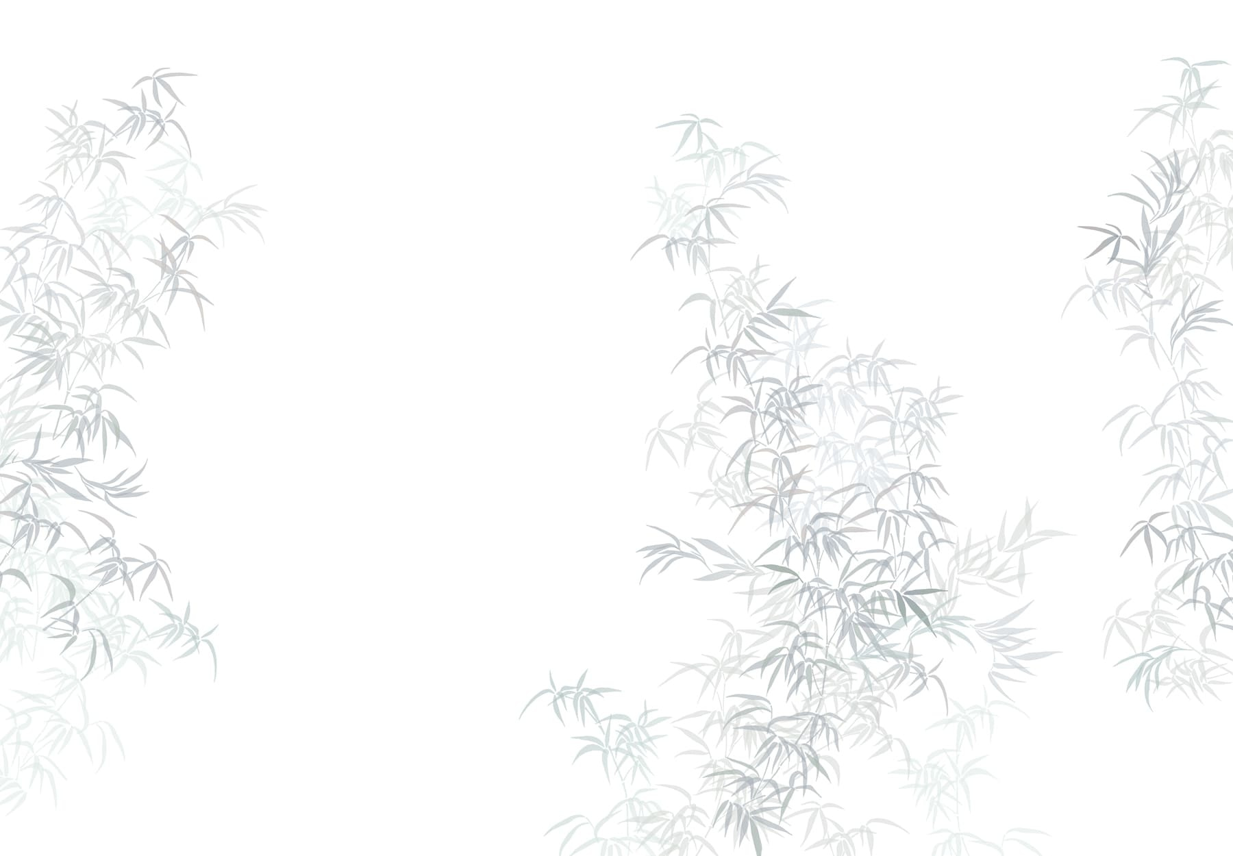 Plant with leaves on it Plant with leaves on it