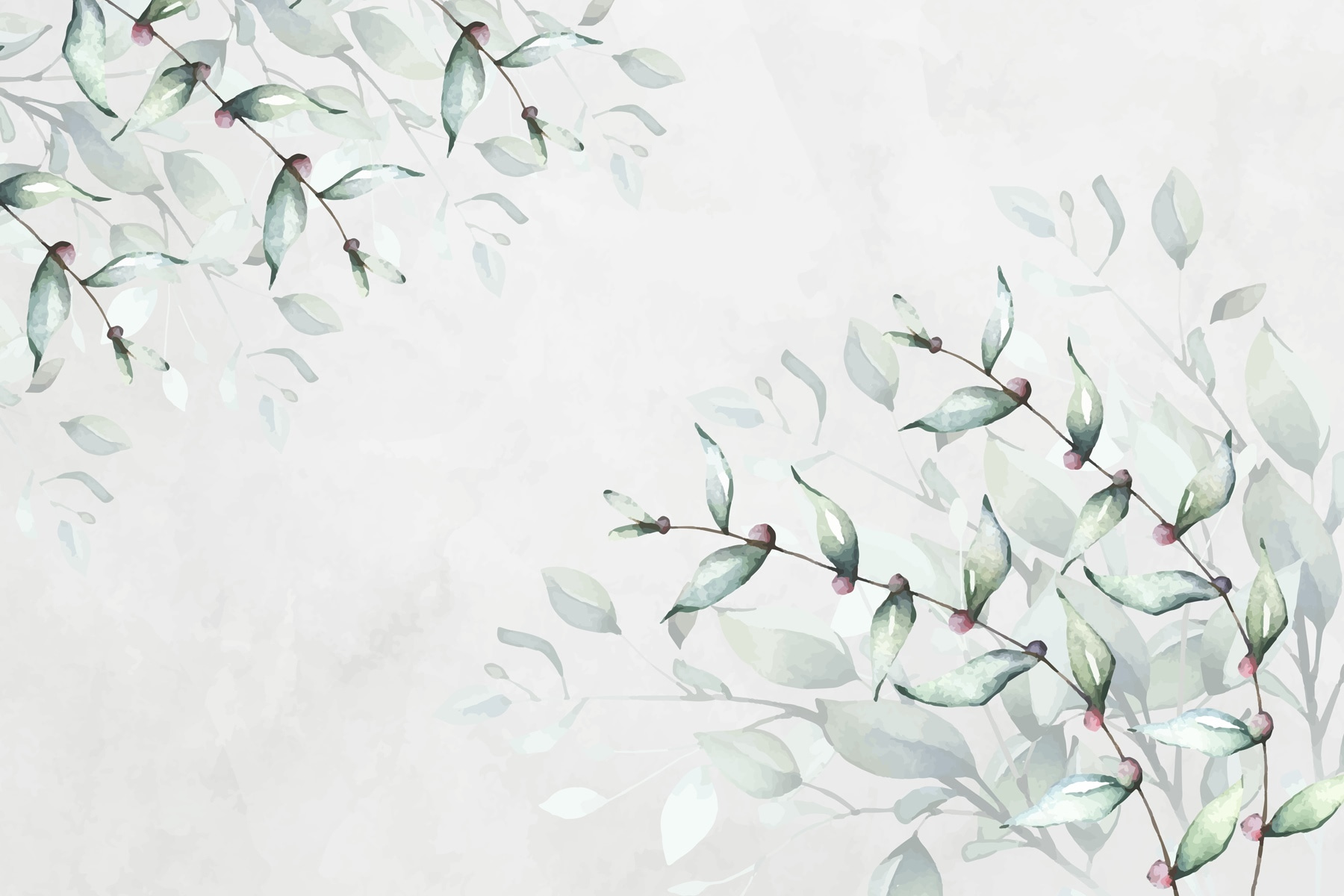 Delicate leaves on a soft background Delicate leaves on a soft background