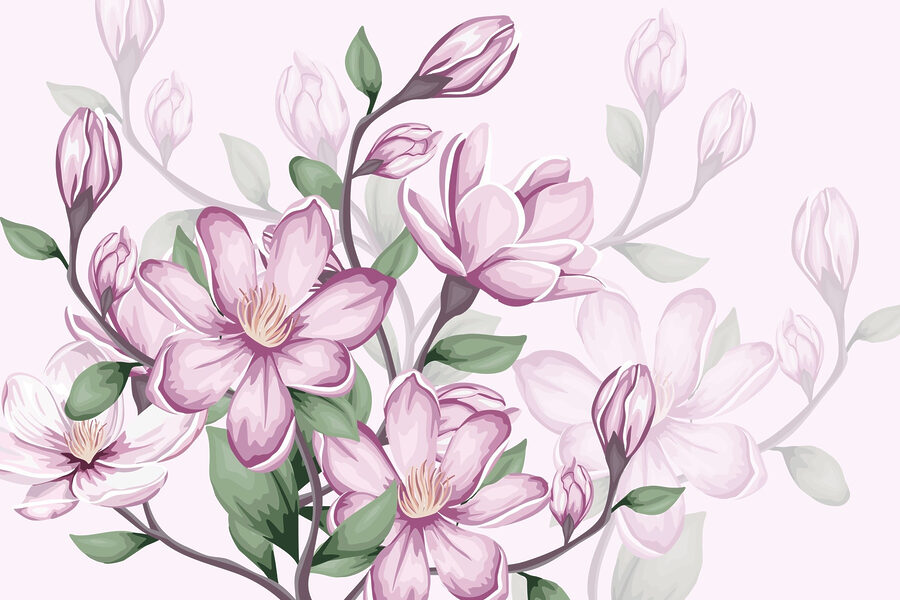 Delicate blooms adorned with soft petals Delicate blooms adorned with soft petals