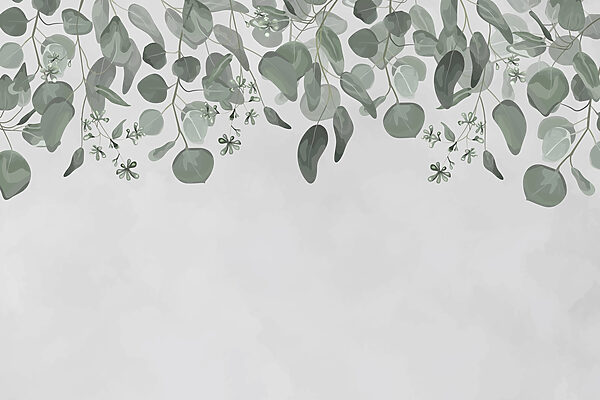 Delicate leaves framing a soft backdrop Delicate leaves framing a soft backdrop