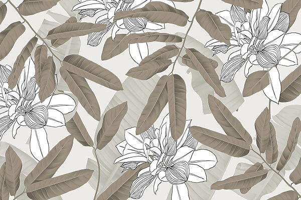 Nature’s delicate floral patterns unfold Nature’s delicate floral patterns unfold