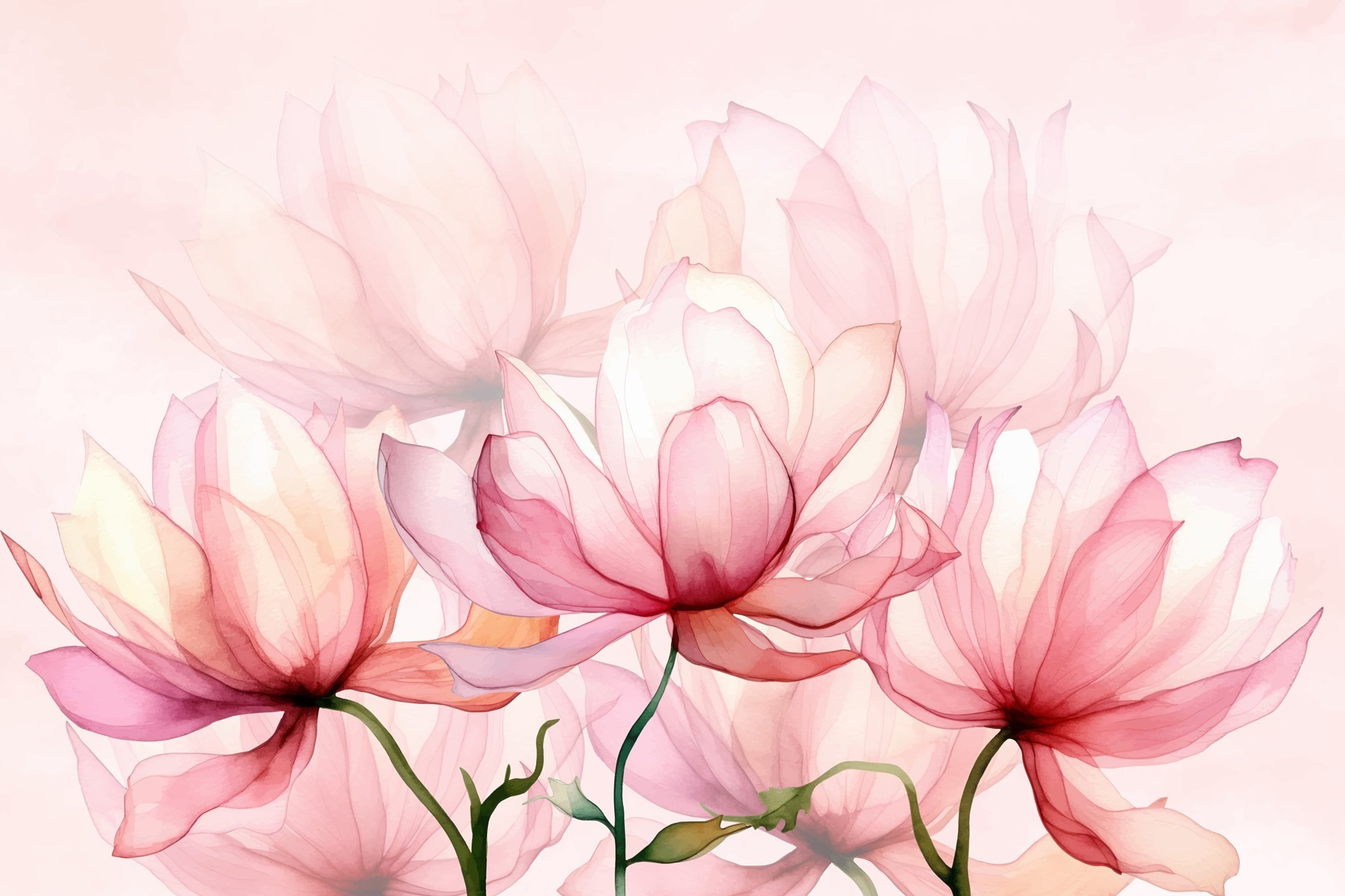 Soft petals in gentle hues