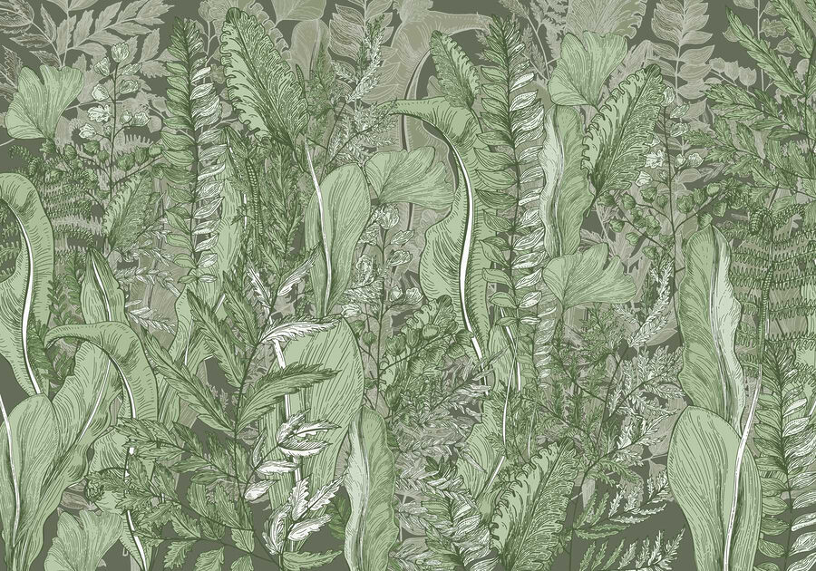 Nature’s harmony in leafy patterns