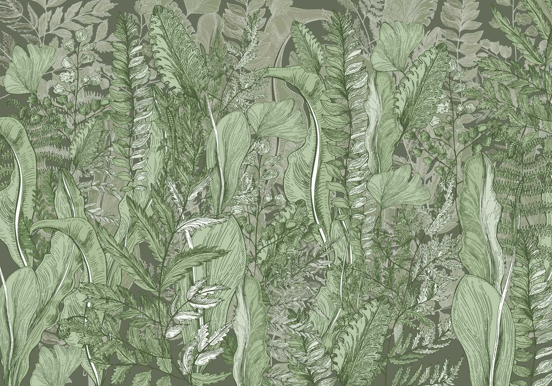 Nature's harmony in leafy patterns Nature's harmony in leafy patterns