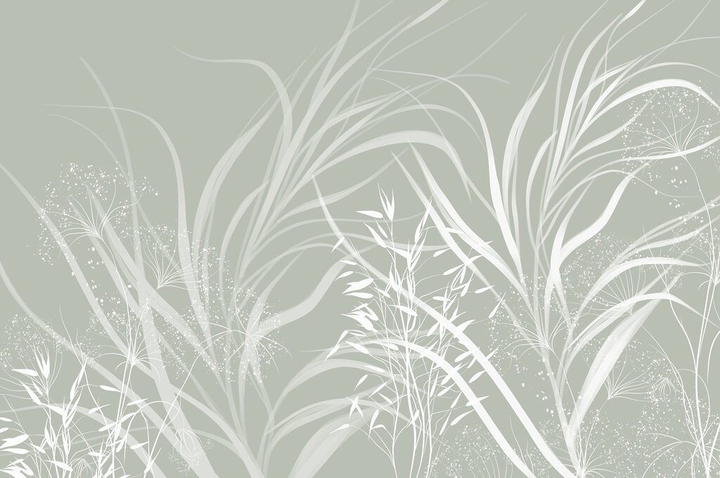 Soft patterns of nature’s elegance Soft patterns of nature’s elegance