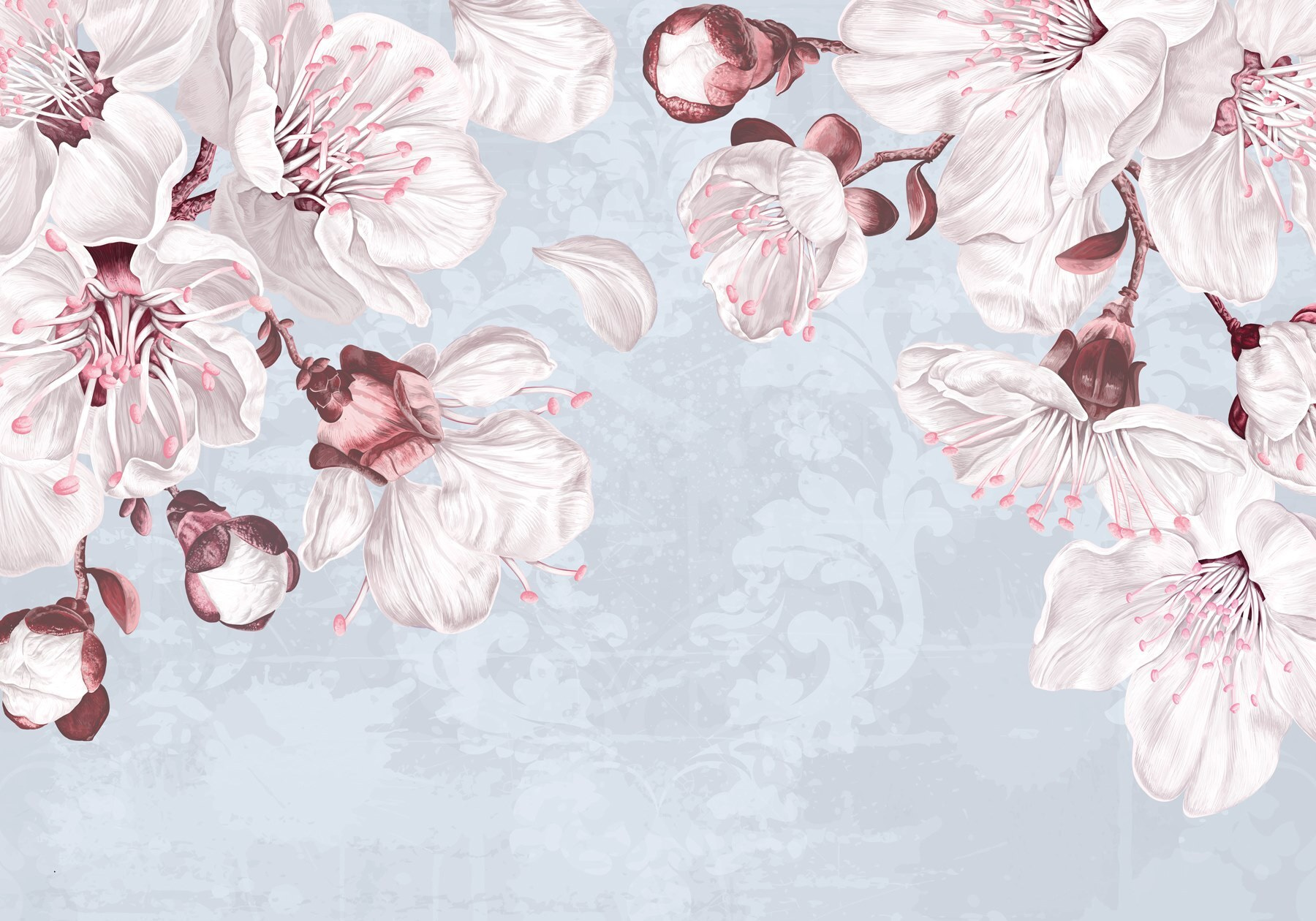 Delicate blooms on soft backdrop