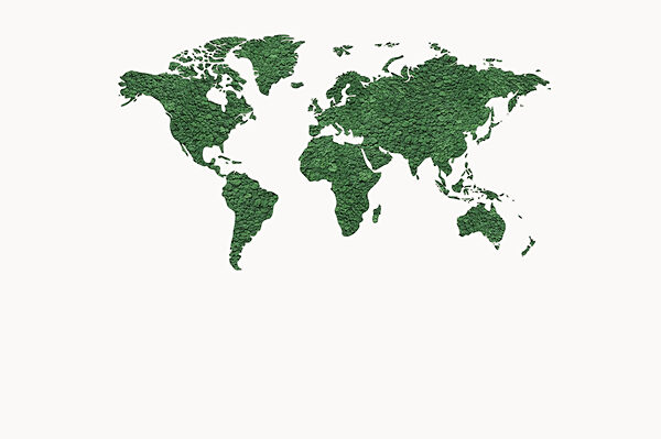 Map of the world Map of the world