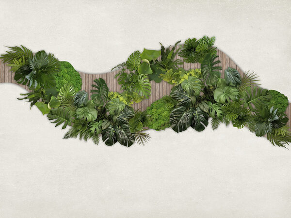 Group of green leaves on a wooden surface