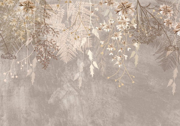 Delicate shades of nature's beauty Delicate shades of nature's beauty