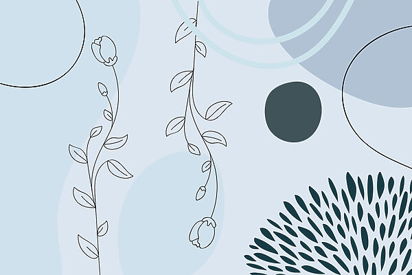 Soft lines and shapes in harmony Soft lines and shapes in harmony