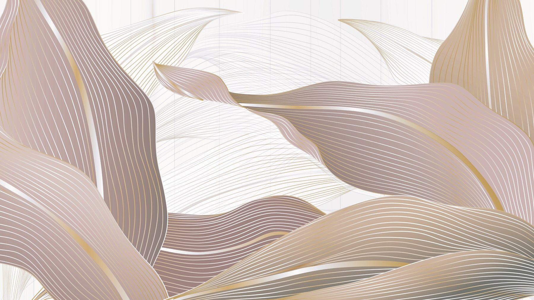 Flowing Lines and Soft Colors