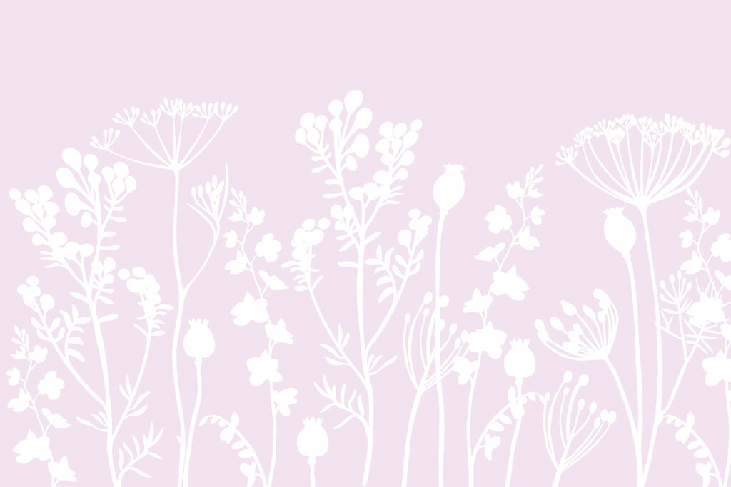 White flowers and leaves on a pink background White flowers and leaves on a pink background