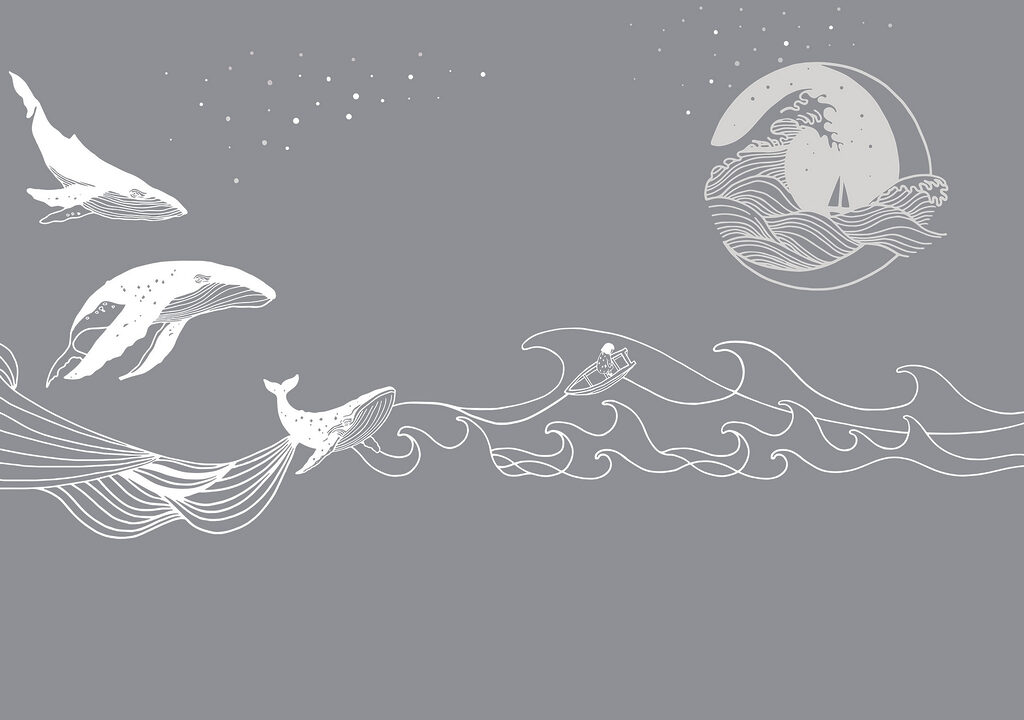 Whale and a man in the ocean Whale and a man in the ocean